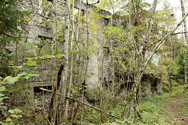 California di Gosaldo nella valle del Mis