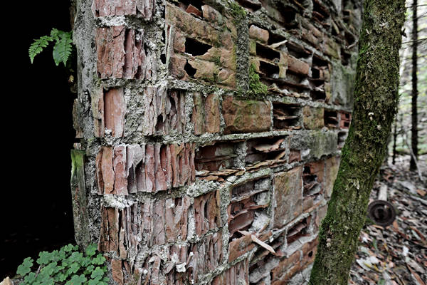 California di Gosaldo nella valle del Mis