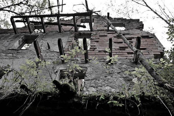 California di Gosaldo nella valle del Mis