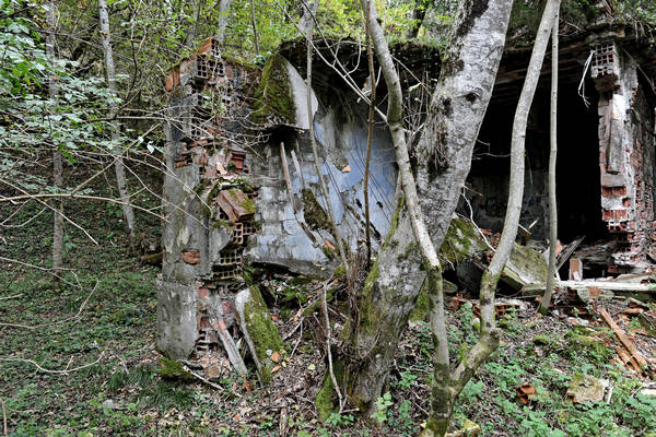 California di Gosaldo nella valle del Mis