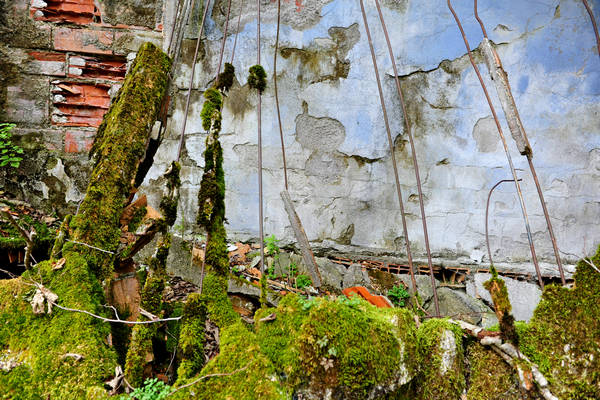 California di Gosaldo nella valle del Mis