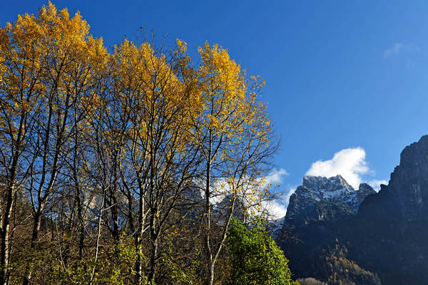 Le Gene Gena Alta Gena Media, Monti del Sole nella valle del Mis, Sospirolo