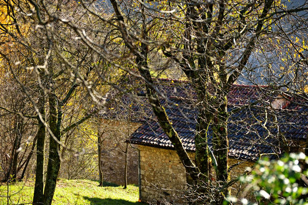 Le Gene Gena Alta Gena Media, Monti del Sole nella valle del Mis, Sospirolo