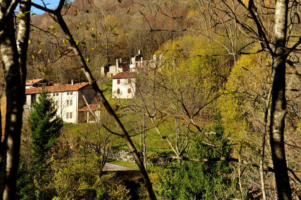 Le Gene Gena Alta Gena Media, Monti del Sole nella valle del Mis, Sospirolo