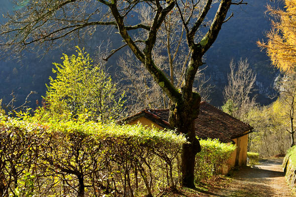 Le Gene Gena Alta Gena Media, Monti del Sole nella valle del Mis, Sospirolo