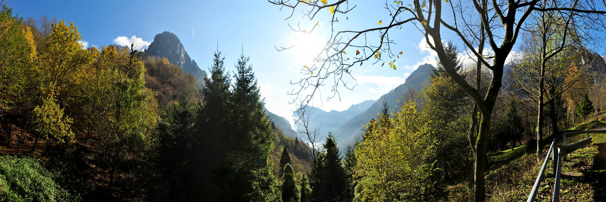 Le Gene nella Valle del Mis, Parco Nazionale Dolomiti Bellunesi