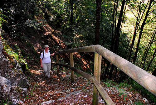 Val Falcina, Valle del Mis, Lago del Mis