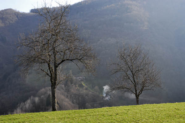 Mel, Cordellon, monte Foral