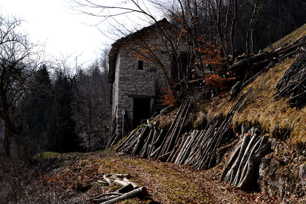 Mel, Cordellon, monte Foral