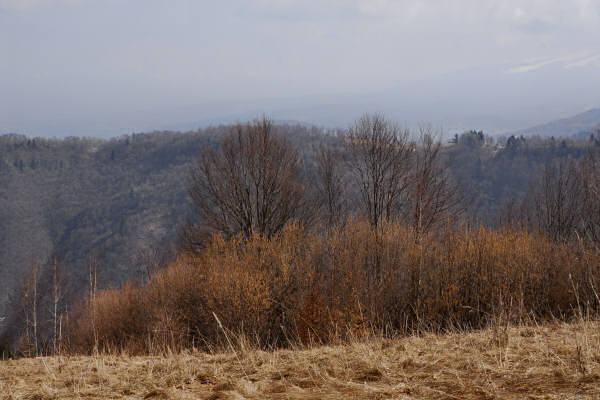 Mel, Cordellon, monte Foral