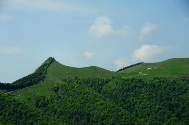 Boz Canidi Val d'Arc
