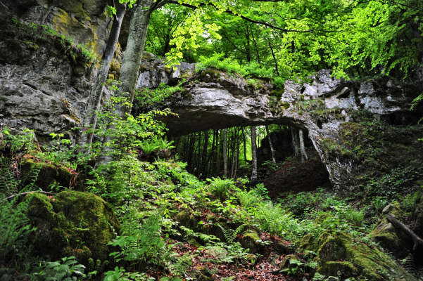 Boz Canidi Val d'Arc