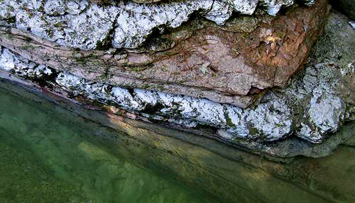 Trichiana, Brent de l'Art