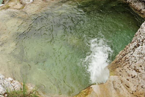 Cadini del Brenton in Valle del Mis, Parco Nazionale Dolomiti Bellunesi