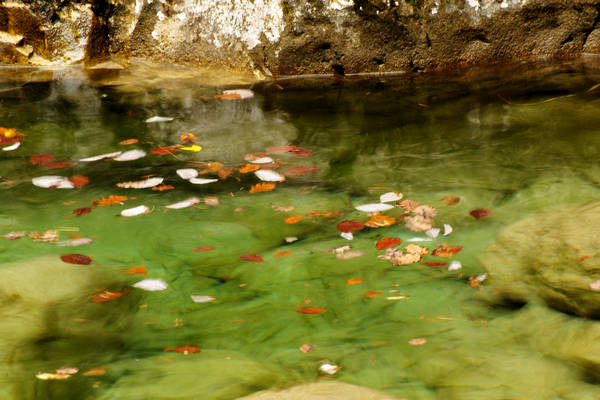 Cadini del Brenton in Valle del Mis, Parco Nazionale Dolomiti Bellunesi