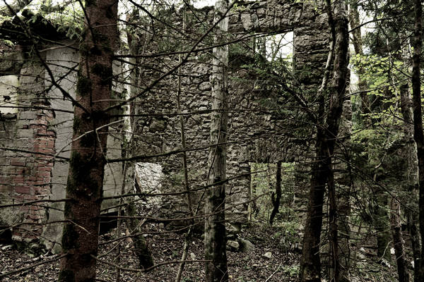 California di Gosaldo nella valle del Mis