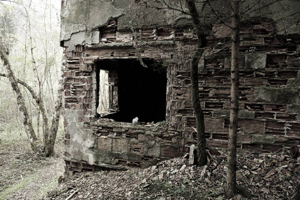 California di Gosaldo nella valle del Mis