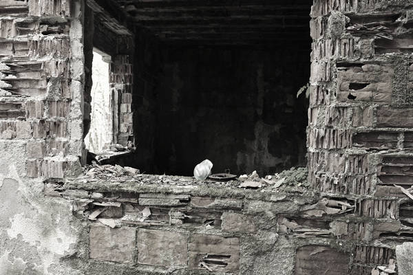 California di Gosaldo nella valle del Mis