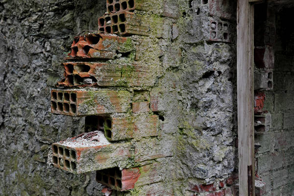 California di Gosaldo nella valle del Mis