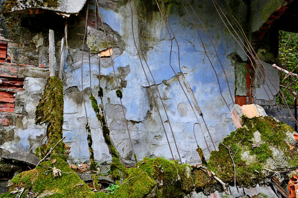 California di Gosaldo nella valle del Mis