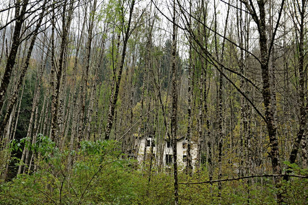 California di Gosaldo nella valle del Mis