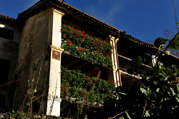 Le Gene Gena Alta Gena Media, Monti del Sole nella valle del Mis, Sospirolo