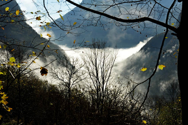 Le Gene Gena Alta Gena Media, Monti del Sole nella valle del Mis, Sospirolo