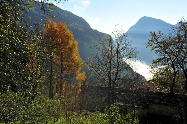 Le Gene Gena Alta Gena Media, Monti del Sole nella valle del Mis, Sospirolo