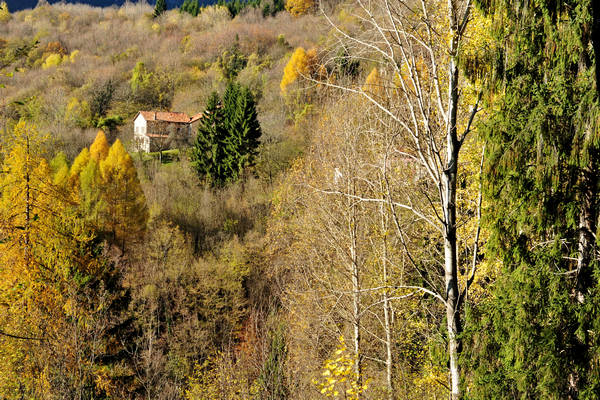 Le Gene Gena Alta Gena Media, Monti del Sole nella valle del Mis, Sospirolo