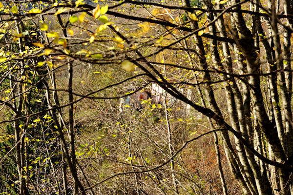 Le Gene Gena Alta Gena Media, Monti del Sole nella valle del Mis, Sospirolo
