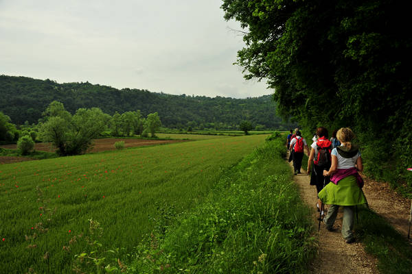 Arcugnano, passeggiata Sant'Agostino Zanchi Perarolo Salve Regina Valmarana