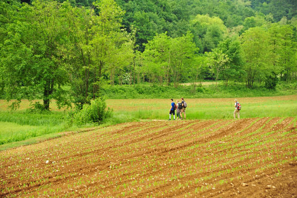 Arcugnano, passeggiata Sant'Agostino Zanchi Perarolo Salve Regina Valmarana