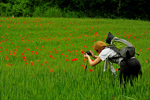 Arcugnano, passeggiata Sant'Agostino Zanchi Perarolo Salve Regina Valmarana