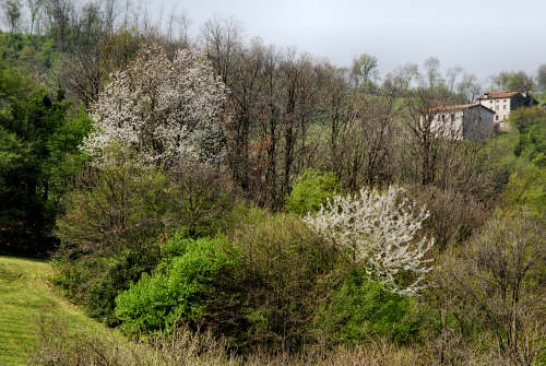 Villabalzana, Lago di Fimon - Arcugnano, Monti Berici, Vicenza