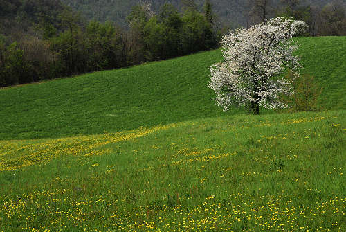 Villabalzana, Lago di Fimon - Arcugnano, Monti Berici, Vicenza
