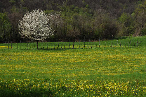 Villabalzana, Lago di Fimon - Arcugnano, Monti Berici, Vicenza