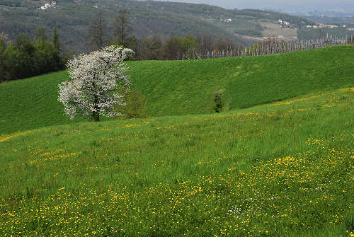 Villabalzana, Lago di Fimon - Arcugnano, Monti Berici, Vicenza