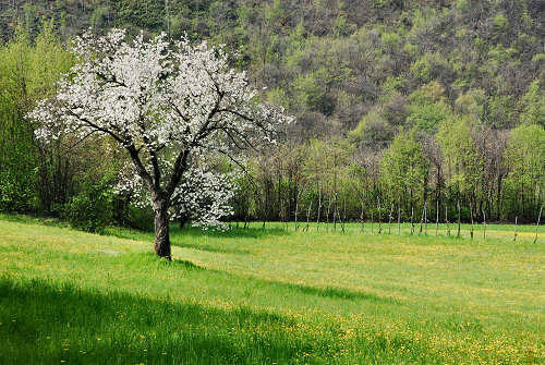 Villabalzana, Lago di Fimon - Arcugnano, Monti Berici, Vicenza