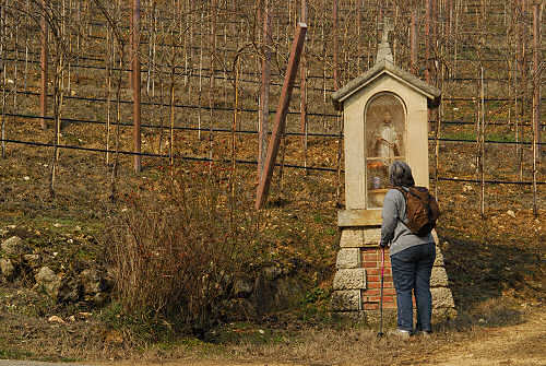 escursione Barbarano, monte Cengia, Scudelletta