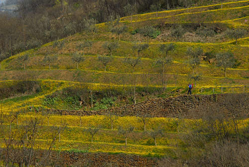 Brendola - Monte Comunale e Rocca dei Vescovi