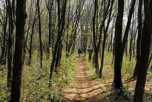 Brendola - Monte Comunale e Rocca dei Vescovi