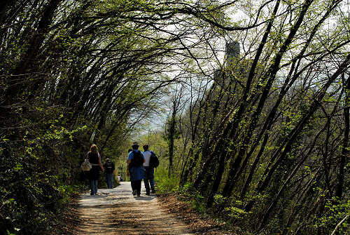 Brendola - Monte Comunale e Rocca dei Vescovi