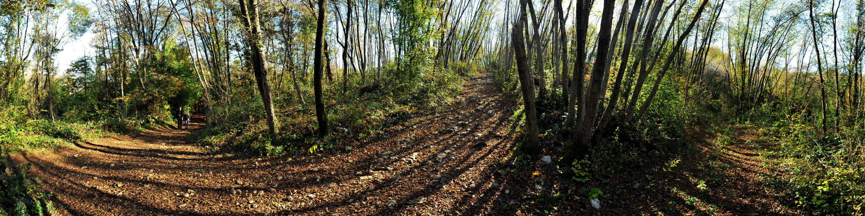 Agriturismo Da Bedin Brendola, Monti Berici, Vicenza