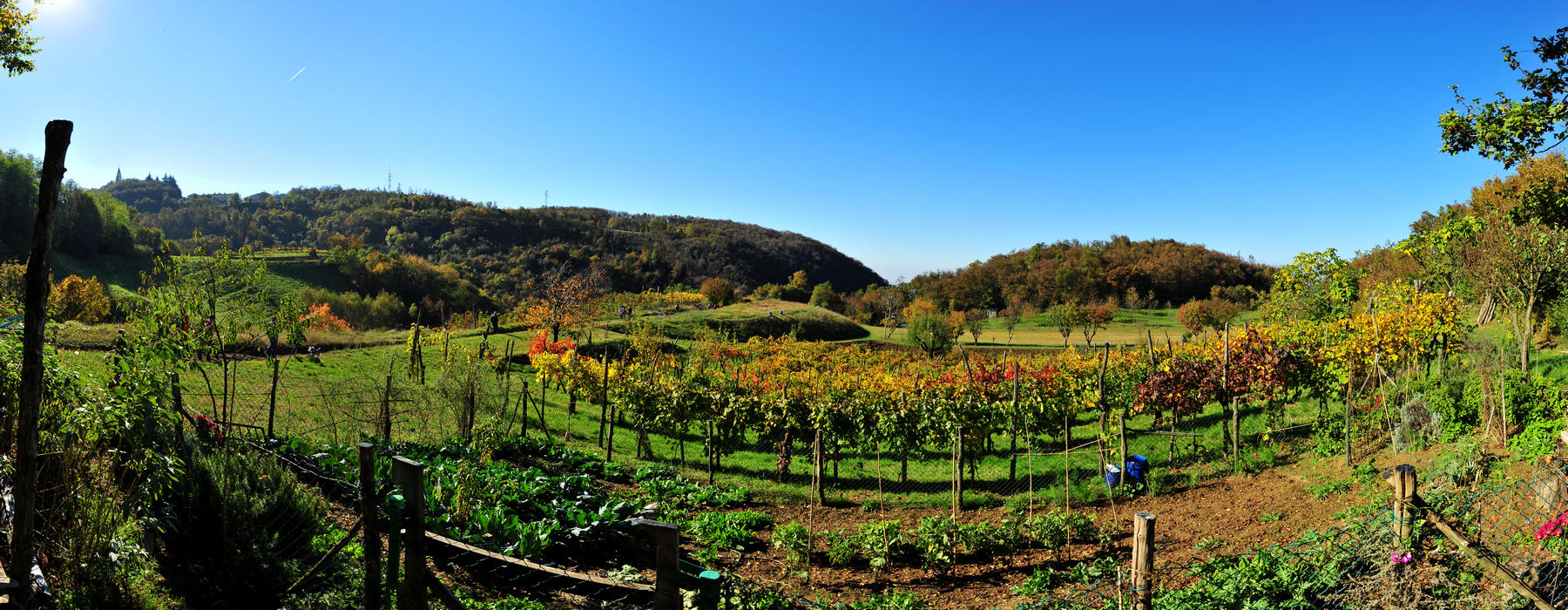 Agriturismo Da Bedin Brendola, Monti Berici, Vicenza