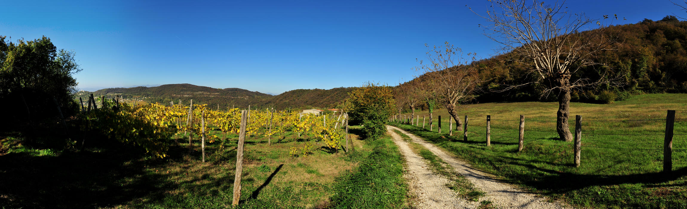 Agriturismo Da Bedin Brendola, Monti Berici, Vicenza