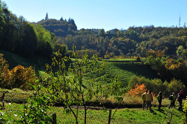 Brendola, passeggiata Agriturismo Da Bedin, Perarolo, San Gottardo