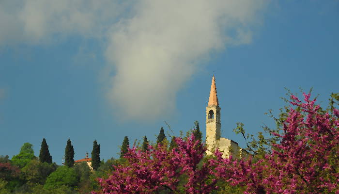 Castegnero, Riviera Berica