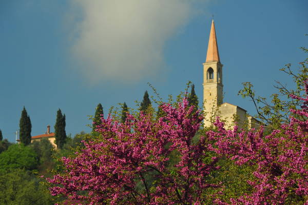 passeggiata nei Colli Berici - Castegnero, Nanto, Covoli di Trene, Sermondi, Covolo Murato di Castegnero