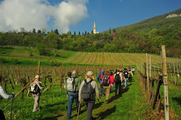 passeggiata nei Colli Berici - Castegnero, Nanto, Covoli di Trene, Sermondi, Covolo Murato di Castegnero