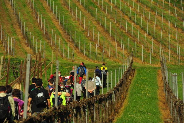 passeggiata nei Colli Berici - Castegnero, Nanto, Covoli di Trene, Sermondi, Covolo Murato di Castegnero